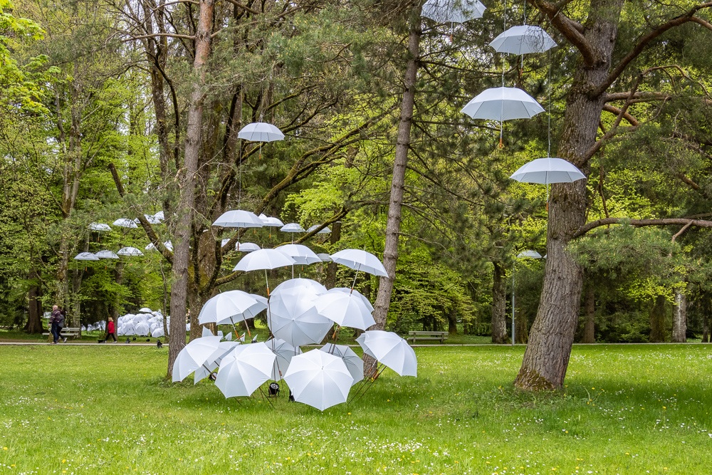 Platz 9 Juergen Feldmann